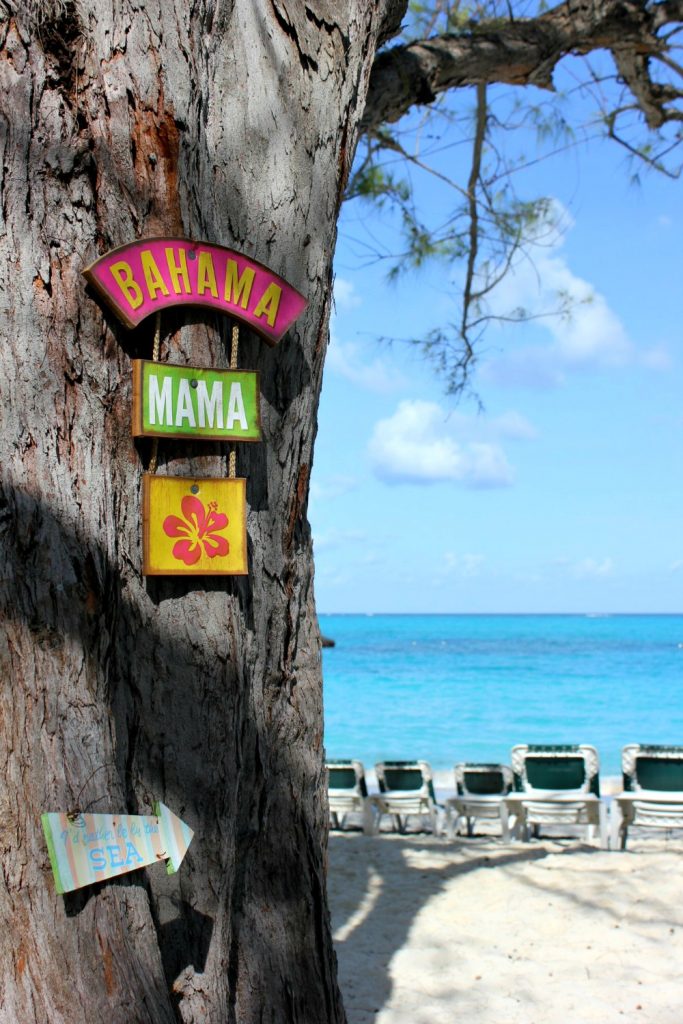 Colourful signs on a tree by the beachfront - one of my 9 top reasons to visit Beaches Turks & Caicos with kids