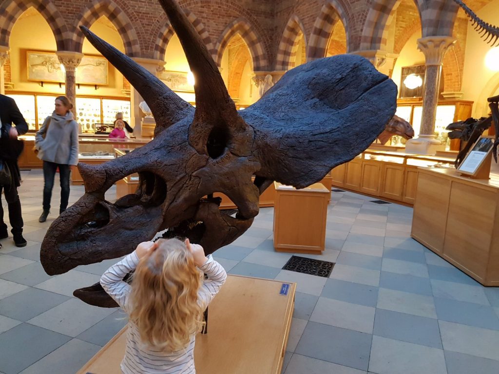 Triceratops head and small girl - one of the exhibits at Oxford University Museum of Natural History. Our Oxford University natural history museum day out
