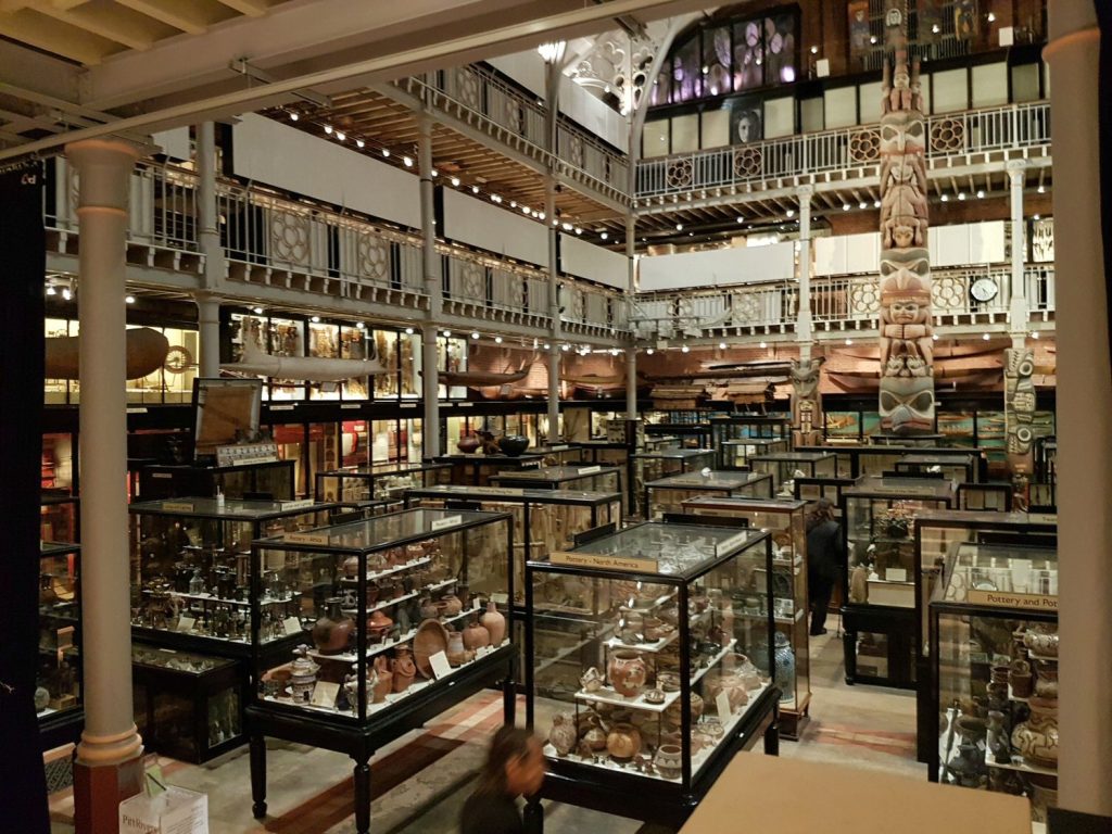 The collections at the Pitt Rivers museum. Our Oxford University natural history museum day out