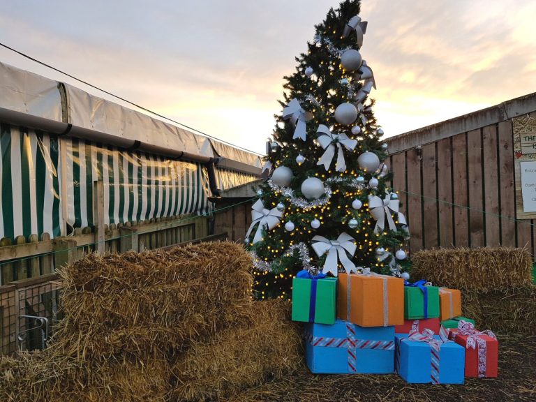 A Christmas tree and presents at at Willows Activity Farm Santa Spectacular near St Albans in Hertforshire - my review of our family day out