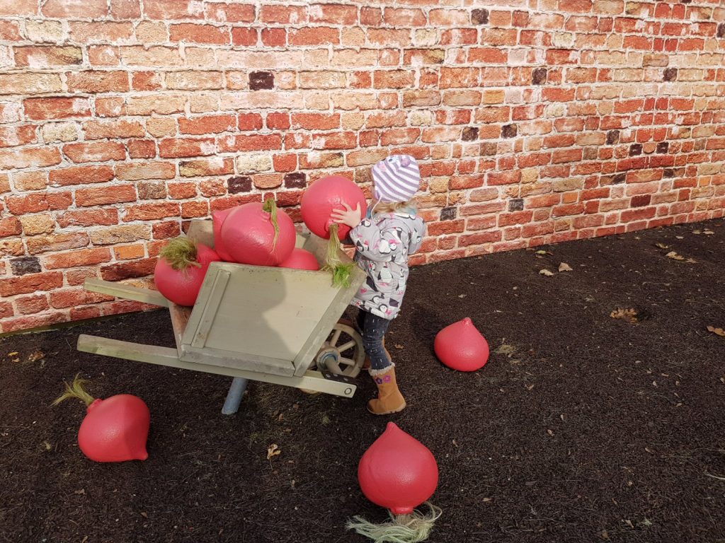 My daughter loads giant radishes into a wheelbarrow in Peter Rabbit's adventure playground at Willows Activity Farm