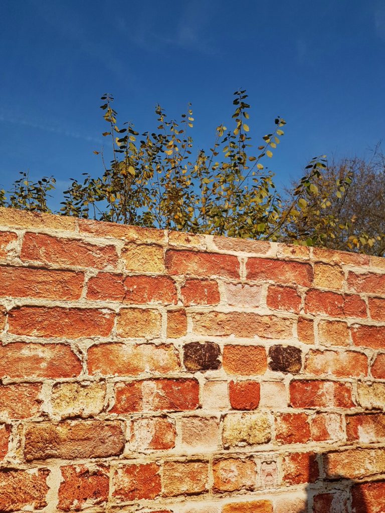 Pretend wall against a blue sky in Peter Rabbit's adventure playground at Willows Activity Farm Santa Spectacular near St Albans in Hertfordshire - my review of our family day out