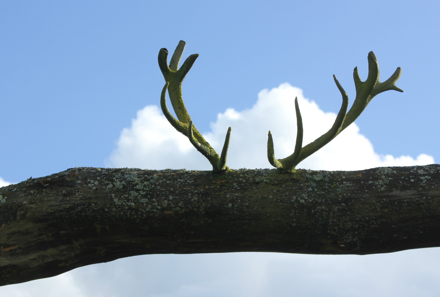 Antlers on top of the gateway to Castell Henllys Iron Age village in Wales - one of my three top days out in Pembrokeshire with kids