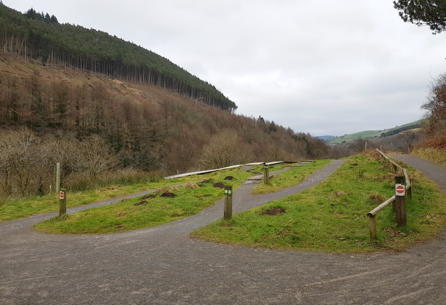 A view of one of the cycle paths at Afan Forest Park in Wales on our journey to discover Welsh legends