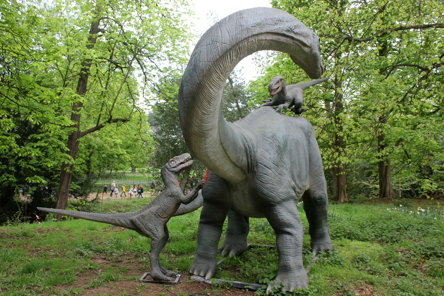 Raptors attack a larger dinosaur -discovering the Jurassic Kingdom dinosaurs in Osterley Park, London before their UK tour