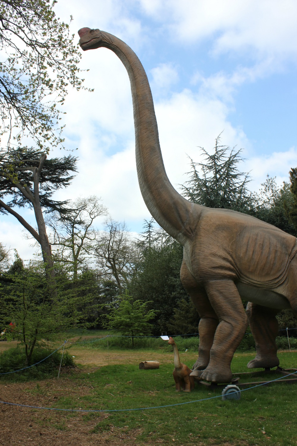 Brachiosaurus nibbles the trees - discovering the Jurassic Kingdom dinosaurs in Osterley Park, London before their UK tour