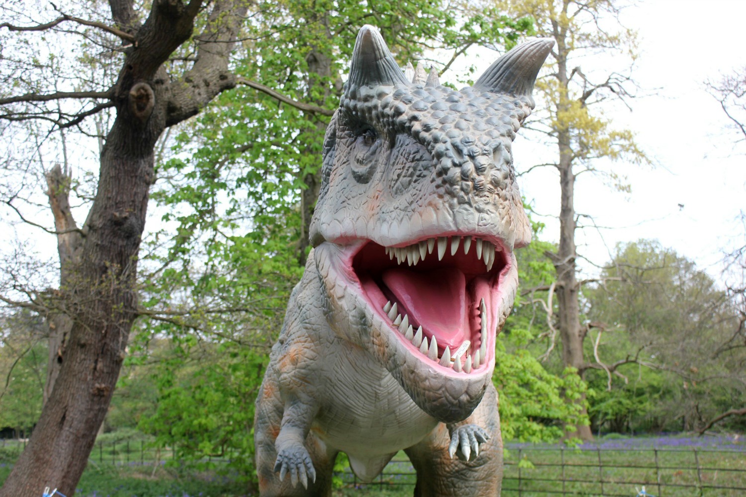 Carnotaurus - discovering the Jurassic Kingdom dinosaurs in Osterley Park, London before their UK tour
