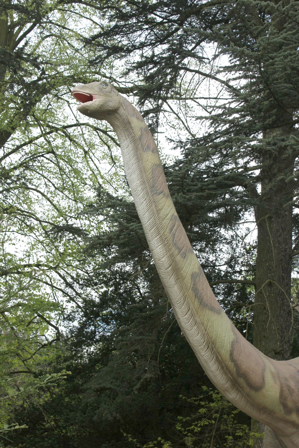 Brachiosaurus -discovering the Jurassic Kingdom dinosaurs in Osterley Park, London before their UK tour