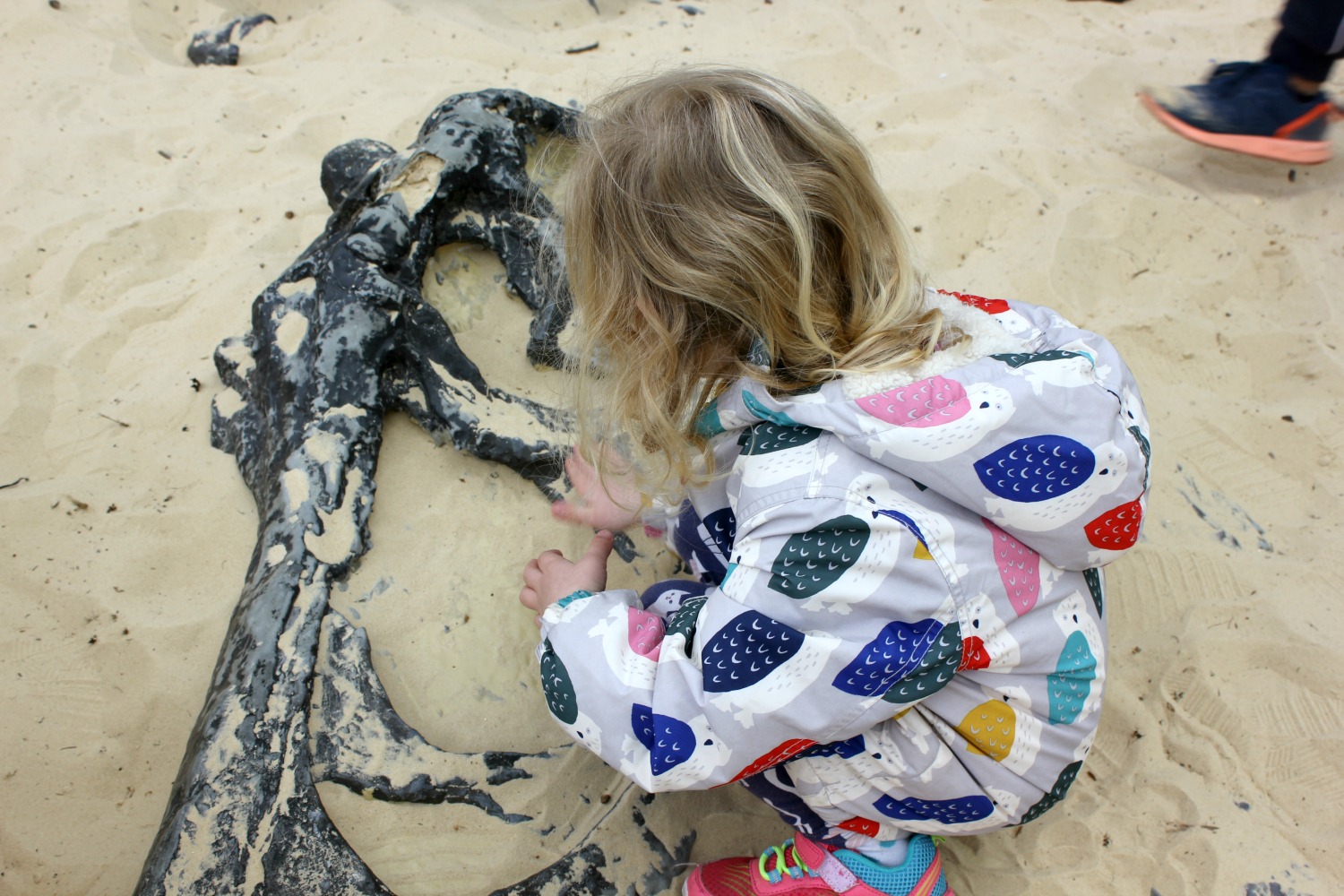 My daughter excavating dinosaur 'bones' in the sandpit - discovering the Jurassic Kingdom dinosaurs in Osterley Park, London before their UK tour