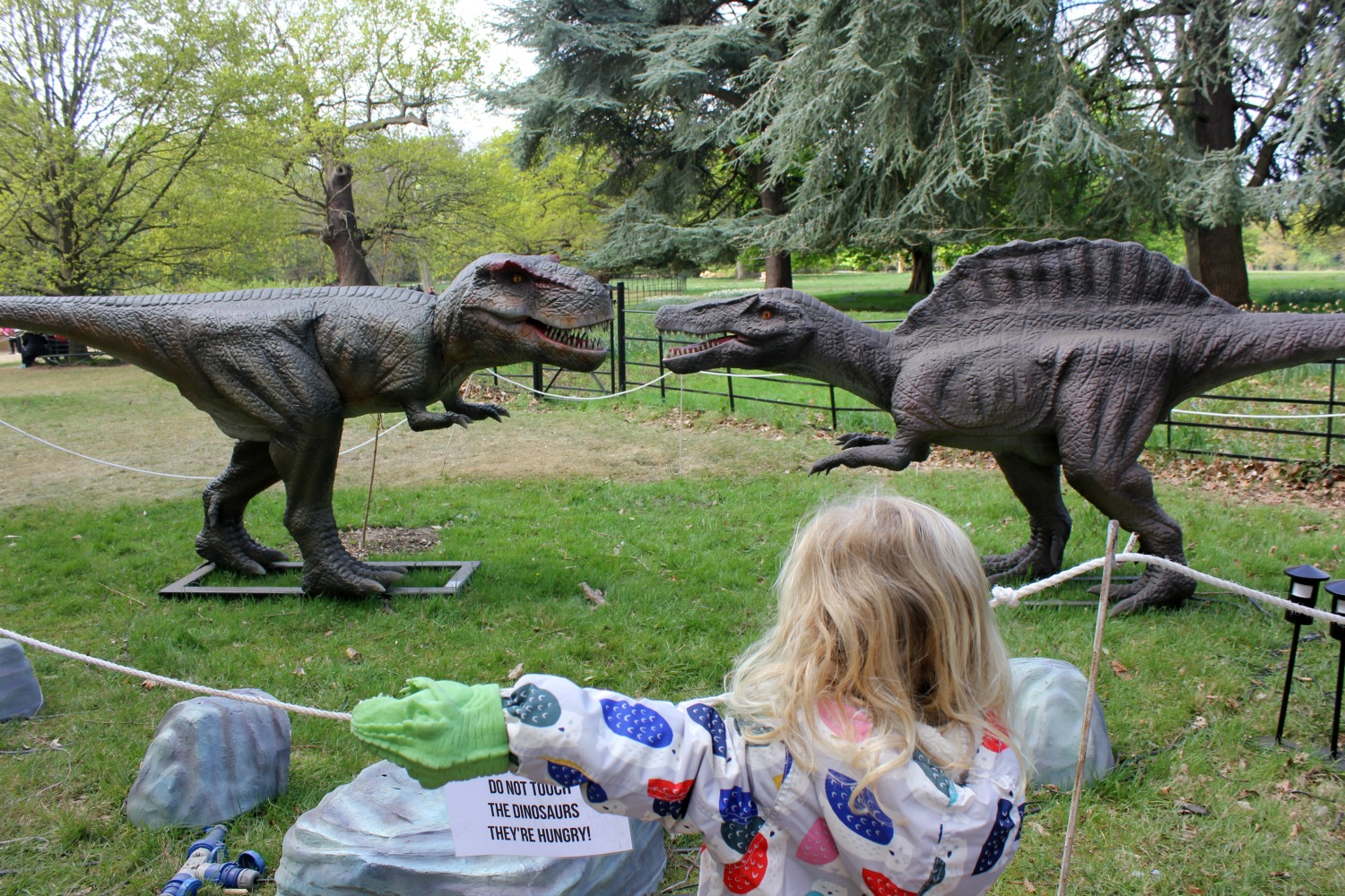 My daughter and toy dinosaur watch T-Rex fighting another dinosaur - discovering the Jurassic Kingdom dinosaurs in Osterley Park, London before their UK tour