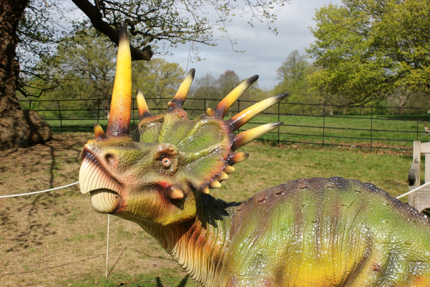 One of the brightly coloured static dinosaur models - discovering the Jurassic Kingdom dinosaurs in Osterley Park, London before their UK tour