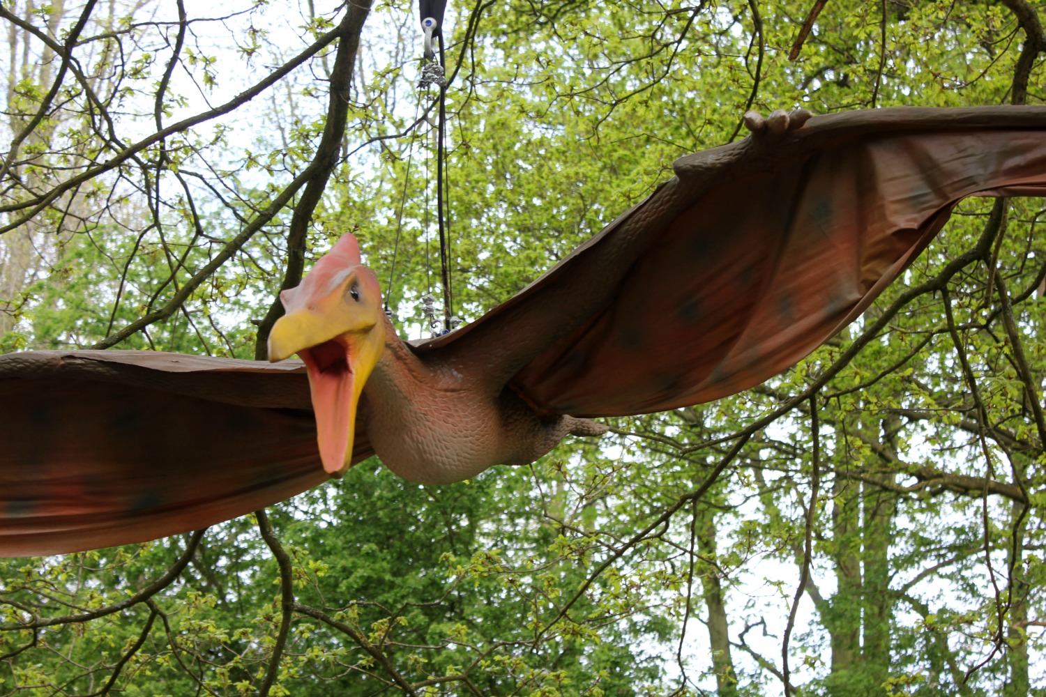 One of the pterosaurs in the trees - discovering the Jurassic Kingdom dinosaurs in Osterley Park, London before their UK tour