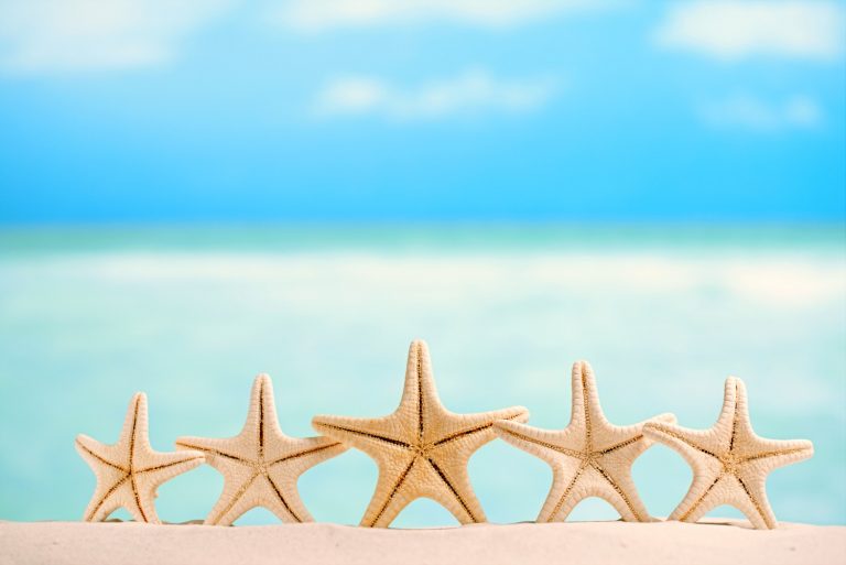Five starfish on the beach with the sea behind - looking back on five years travel with a child and what's changed for us since last summer