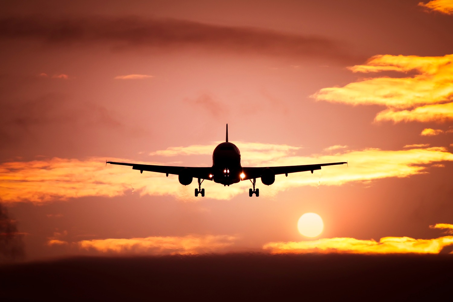 Plane against a sunset sky my travel insurance tips and asking what should travel insurance cover?