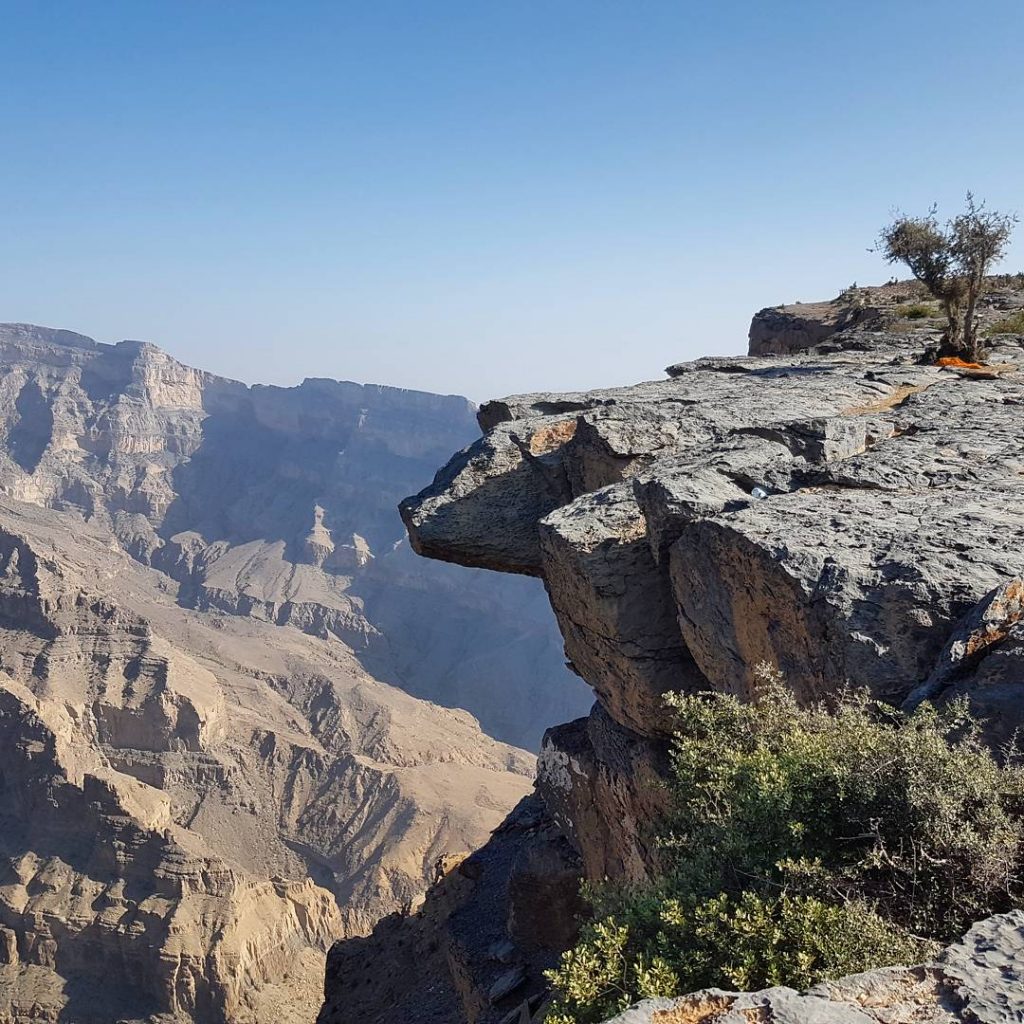 A view of the canyon at Jebel Shams with a tree growing on the rock at the top of the mountain - my nine reasons to visit Oman with kids