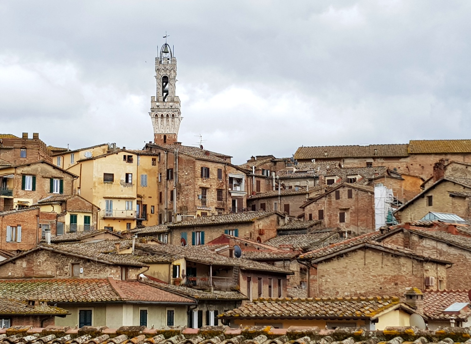 A view over the rooftops of Siena to one of the city's towers - exploring Siena with kids, our tour discovering art, history and animals