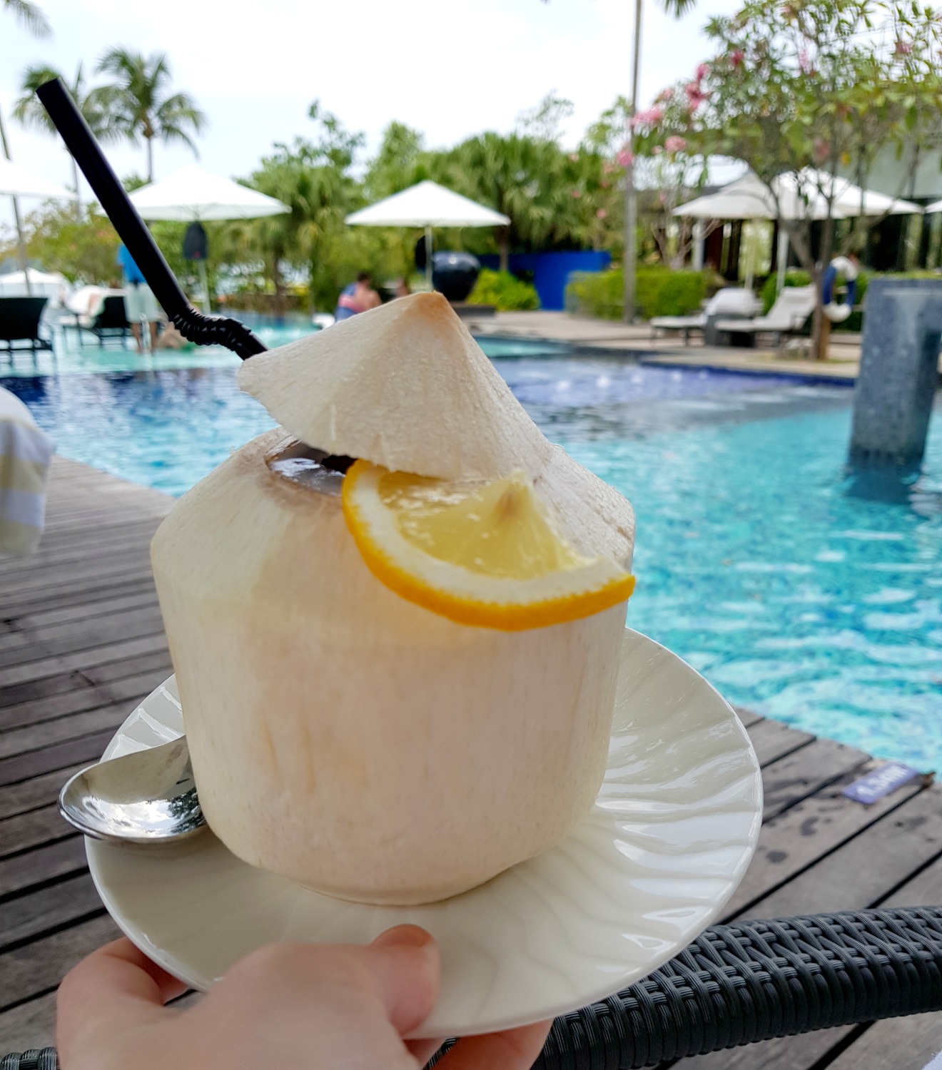 Fresh coconut drink by the infinity pool at The Danna Langkawi - my Danna Langkawi review if you're visiting the luxury hotel in Malaysia with kids