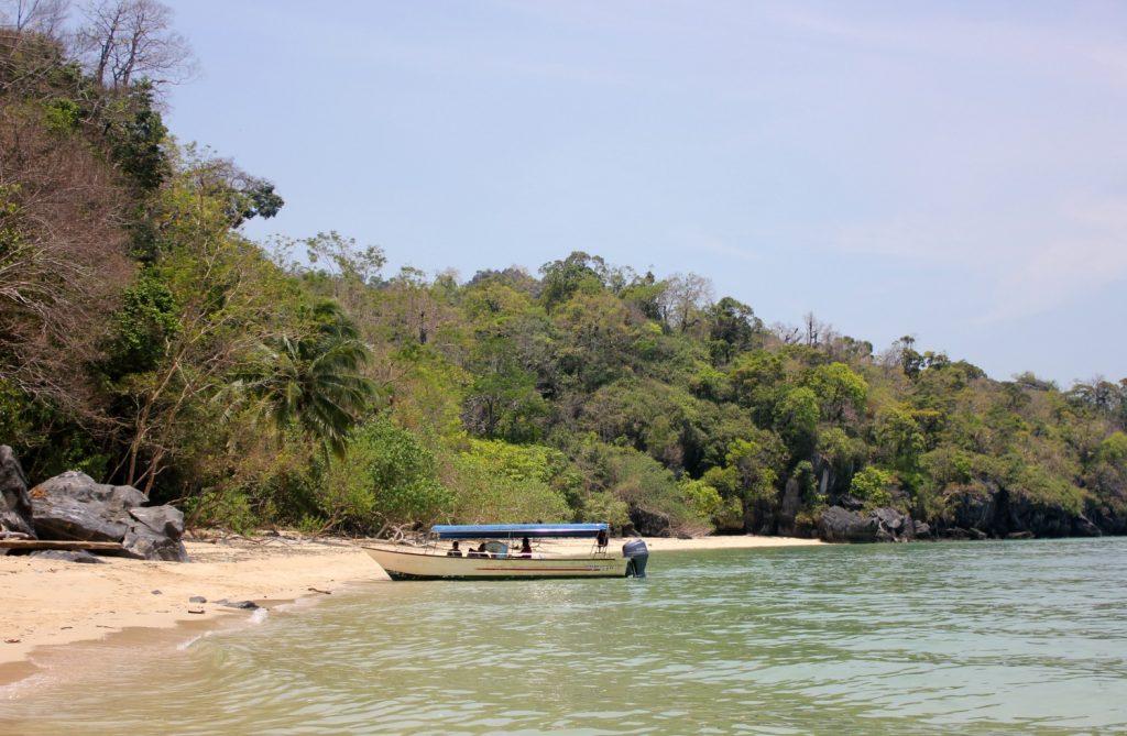 A boat on the waters of Kilim geoforest park in Langkawi as part of a tour through the mangroves - my top Langkawi tour with kids
