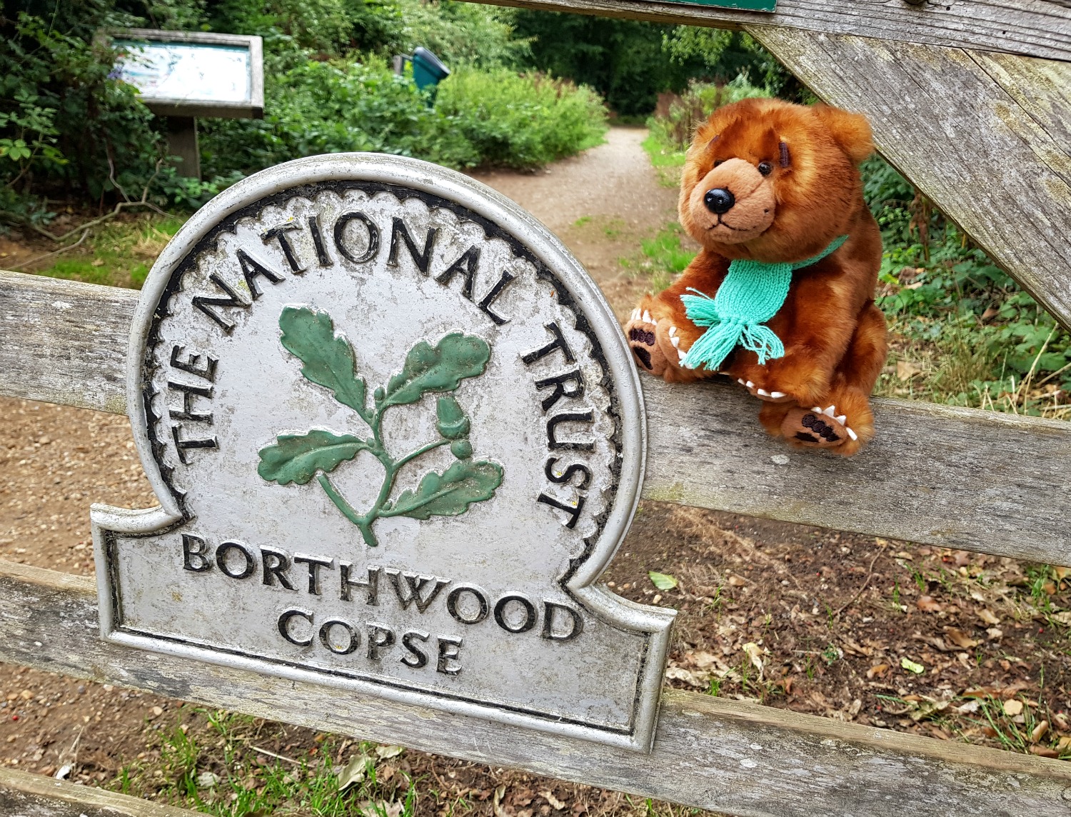 My daughter's bear at the entrance to Borthwood Copse, one of the suggested stops on the island bear hunt - an Isle of Wight bear hunt, exploring the island in the footsteps of the famous children's book