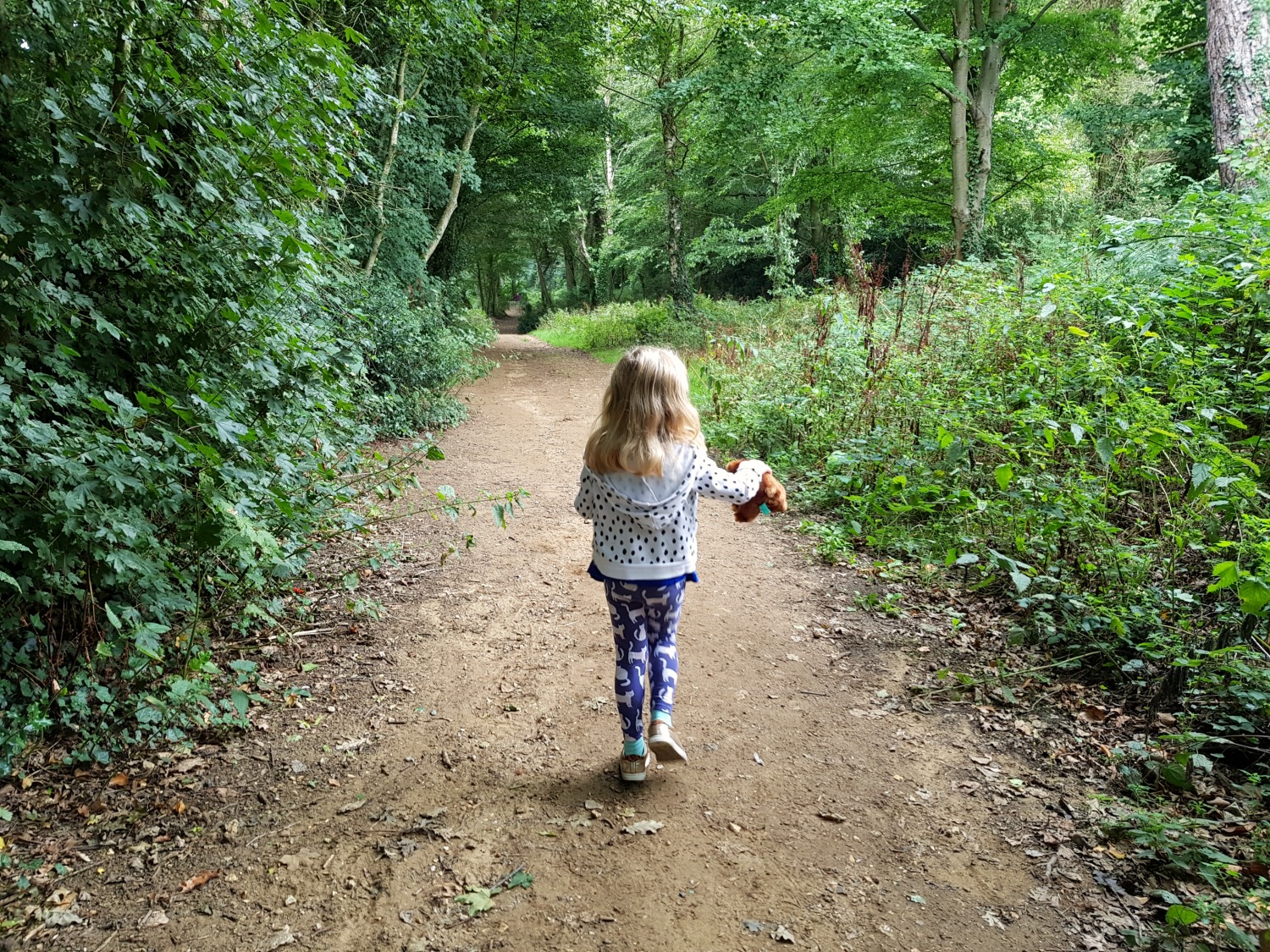 My daughter walks through Borthwood Copse with her bear - an Isle of Wight bear hunt, exploring the island in the footsteps of the famous children's book