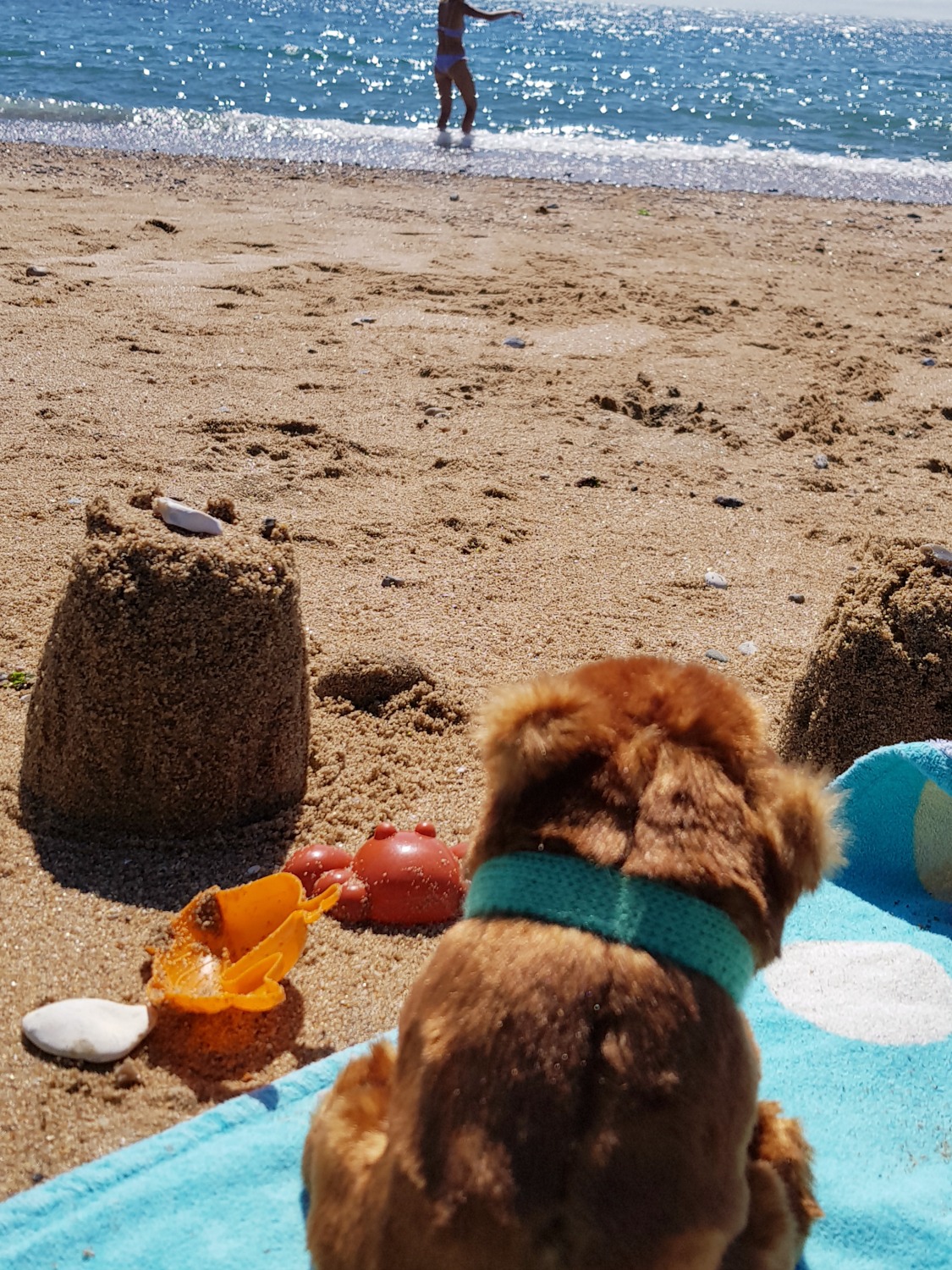 My daughter's toy bear on a beach towel looking over the sand to the sea at Freshwater Bay - an Isle of Wight bear hunt, exploring the island in the footsteps of the famous children's book