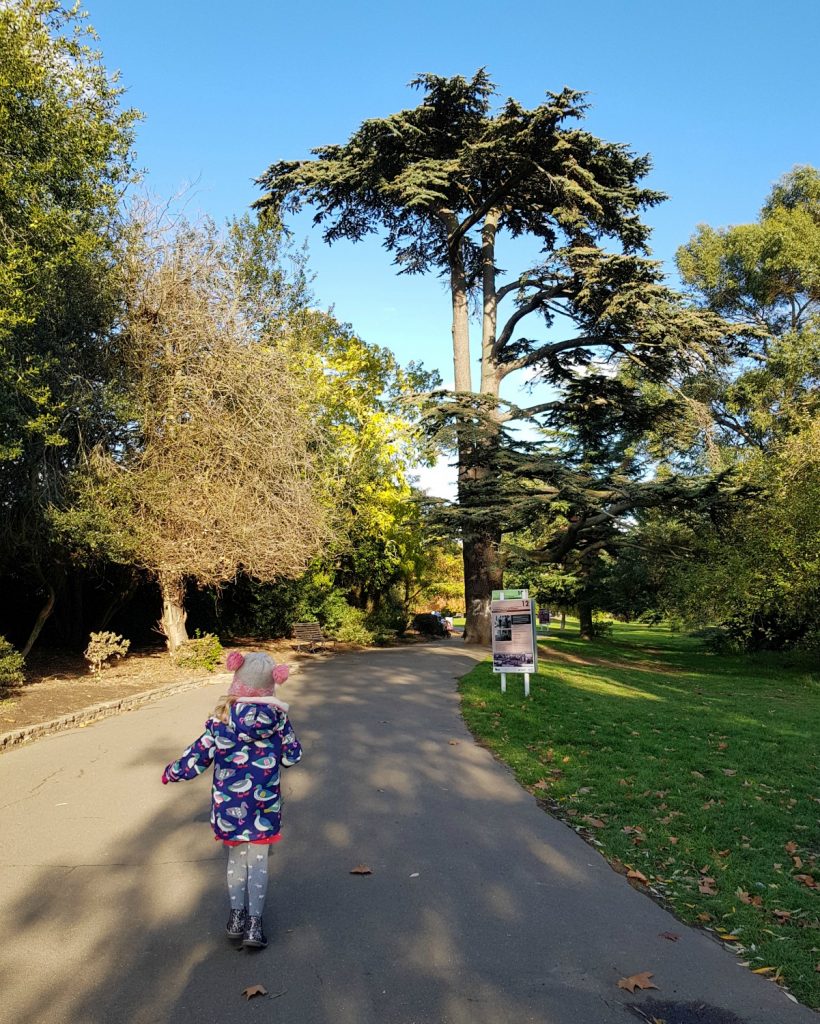 My daughter walks along the path in the park towards a towering tree - my review of a free day out in London, visiting Gunnersbury Park Museum with kids