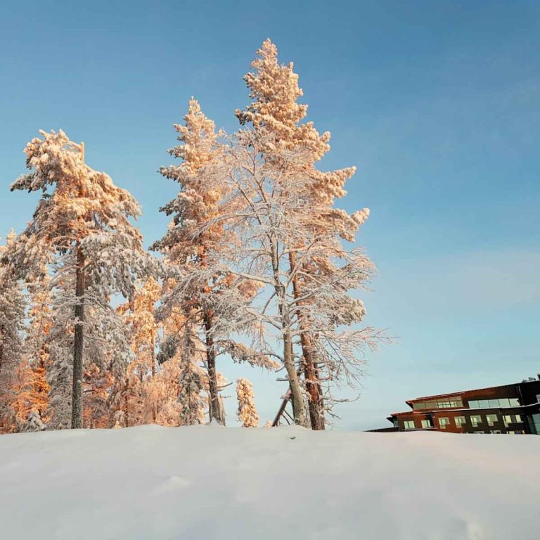 A view across the snow to the rooftop of Hotel Levi Panorama, Lapland with pink tinged snow covered trees to the side - my review of Hotel Levi Panorama, Lapland