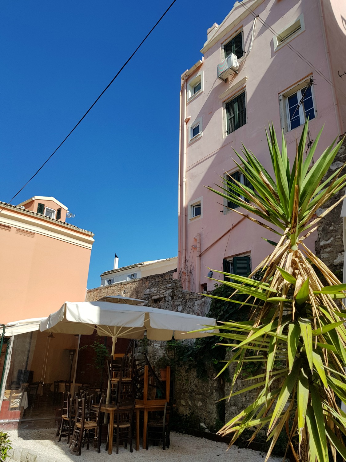 Pink and pastel buildings above a cafe with palm tree in the Old Town - three things to do in Corfu Town with kids