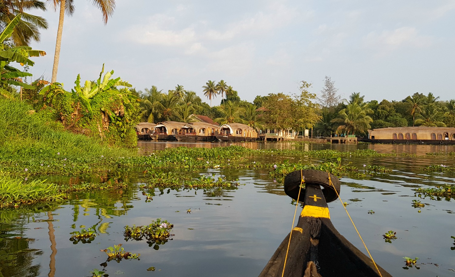 Front of our canoe on an excursion in the backwaters near Alleppey, Kerala - my one week in Kerala itinerary, including Kerala with kids