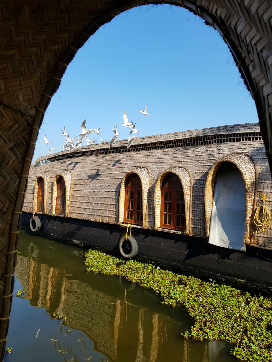 Birds taking flight off the top of a traditional houseboat in the backwaters of Kerala - my one week in Kerala itinerary, including Kerala with kids
