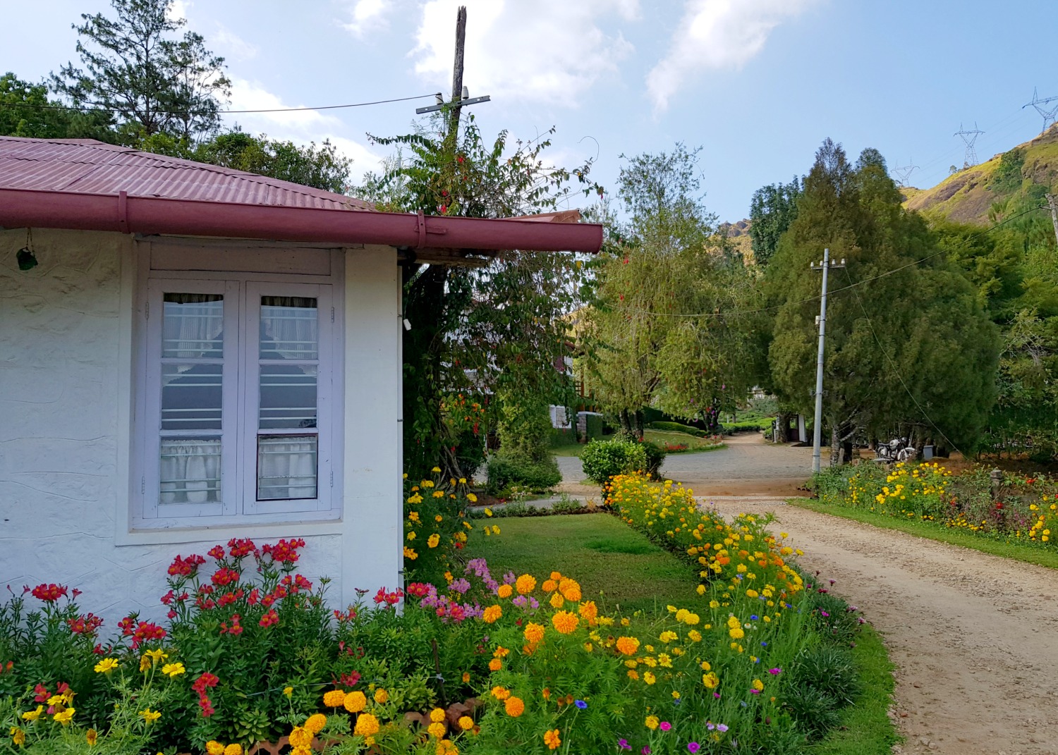 One of the white buildings of Windermere Estate set on a working plantation in Munnar in the hills of Kerala - my one week in Kerala itinerary, including Kerala with kids
