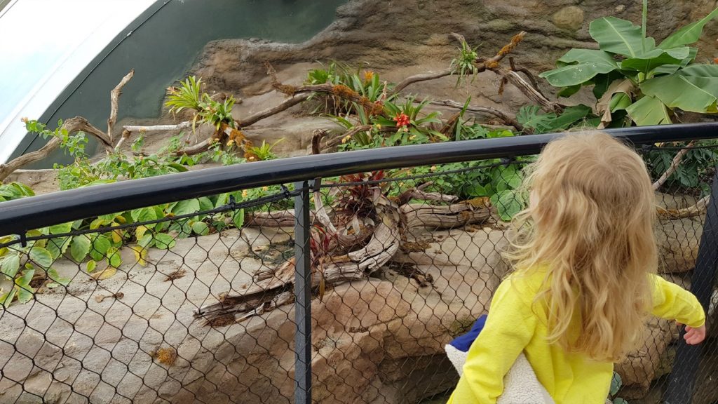 My daughter spotting butterflies and birds inside the Marwell Zoo tropical house in Hampshire
