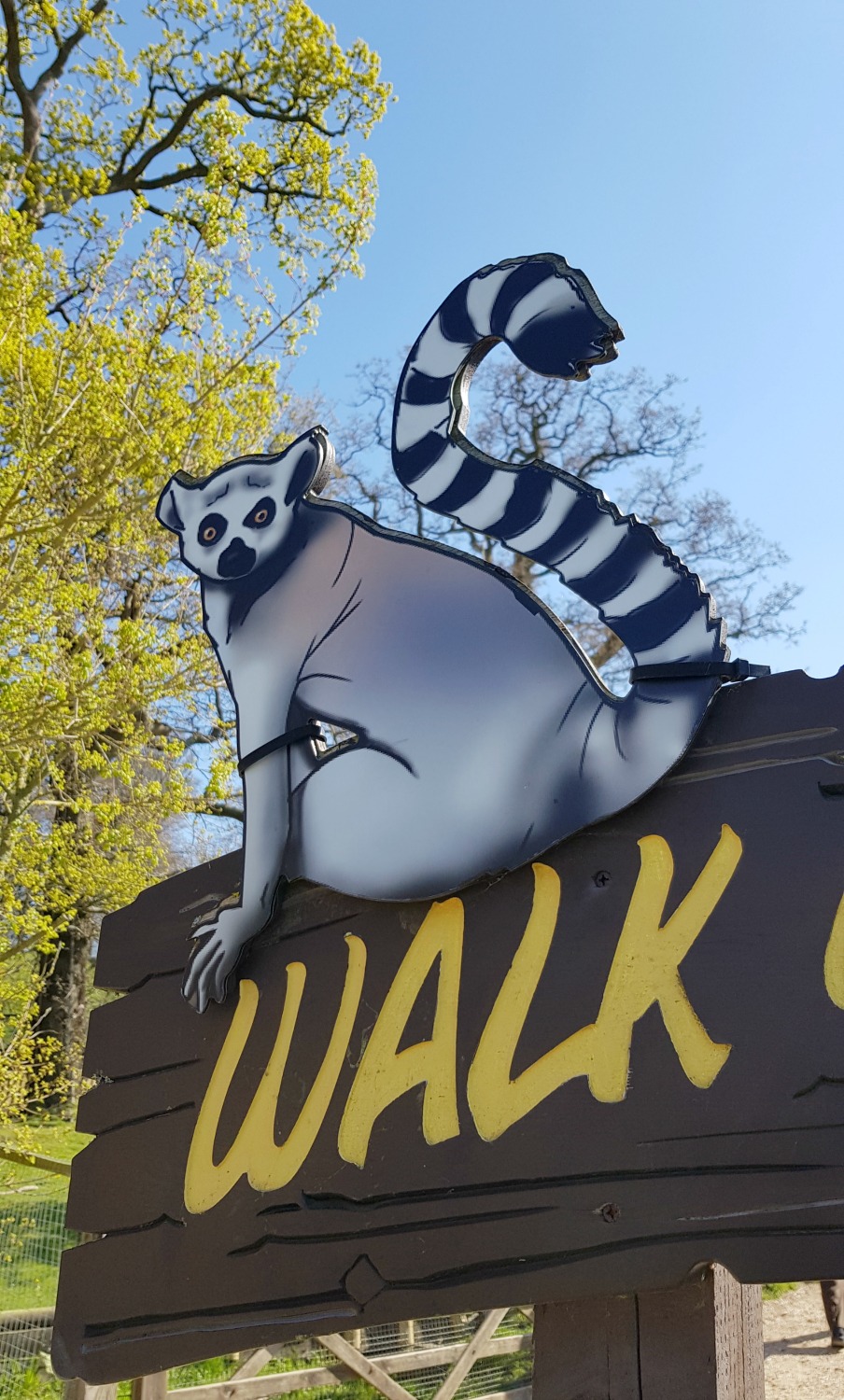 Sign at the entrance to the lemur walk in the African village at Longleat Safari Park