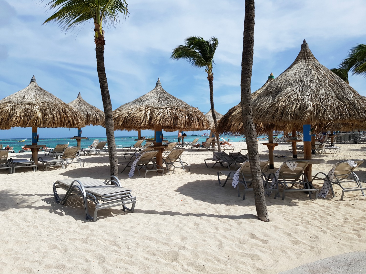 Palm umbrellas over loungers - the palapas reserved for guest of the Hilton Aruba on Palm Beach