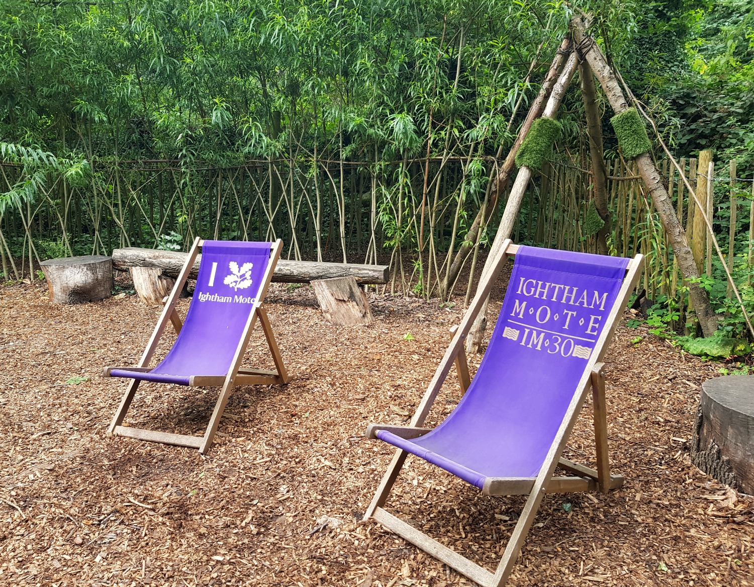 Two purple deckchairs for the National Trust and Ightham Mote with a willow walk behind in the natural playground at Ightham Mote