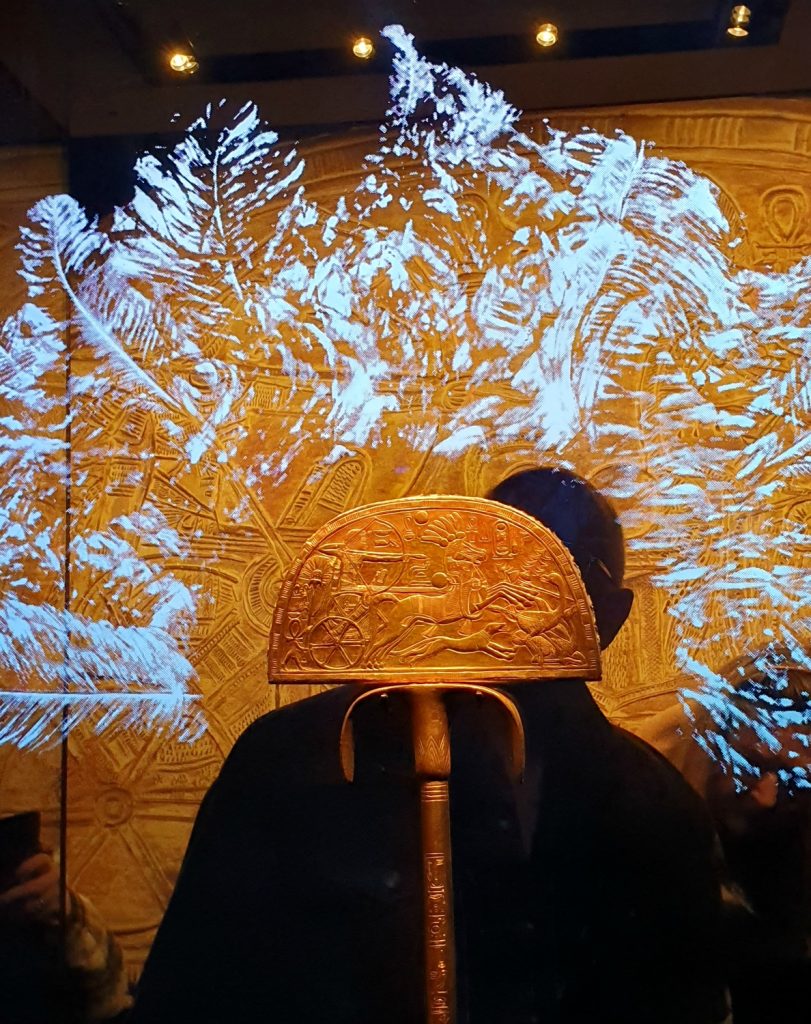 Golden fan with virtual display of ostrich feathers to show how it would once have looked at the Treasures of the Golden Pharaoh exhibition