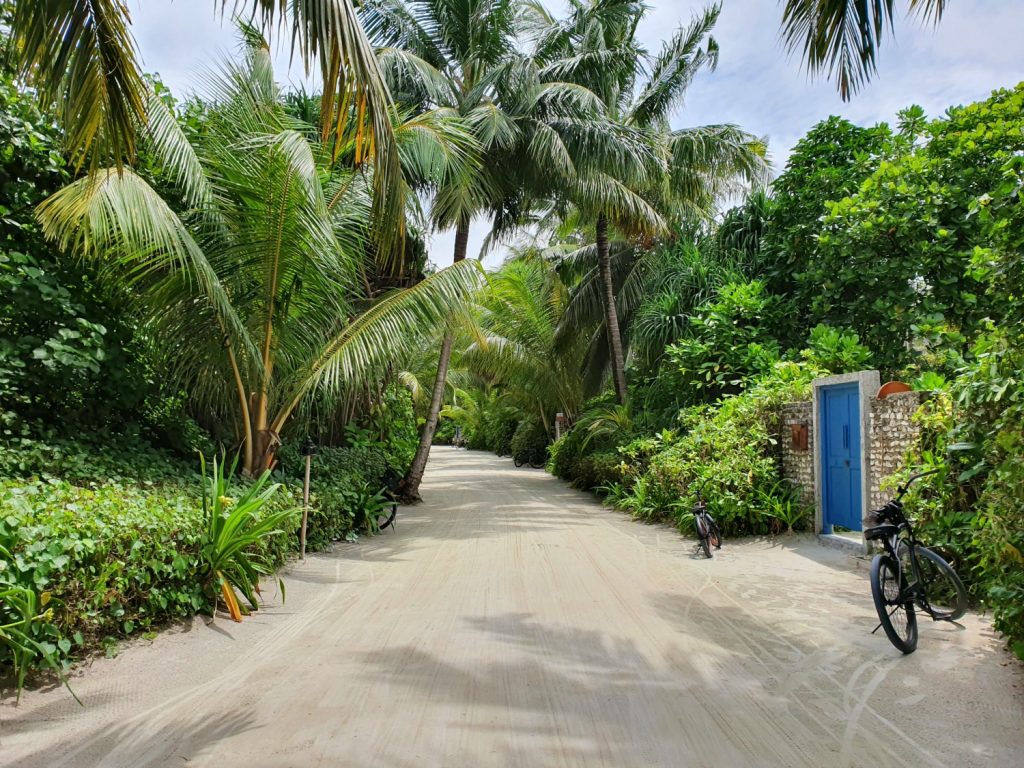 Lush green trees alongside the manicured sandy paths with beach villas behind the walls on the other side - our stay at Landaa Giraavaru with kids