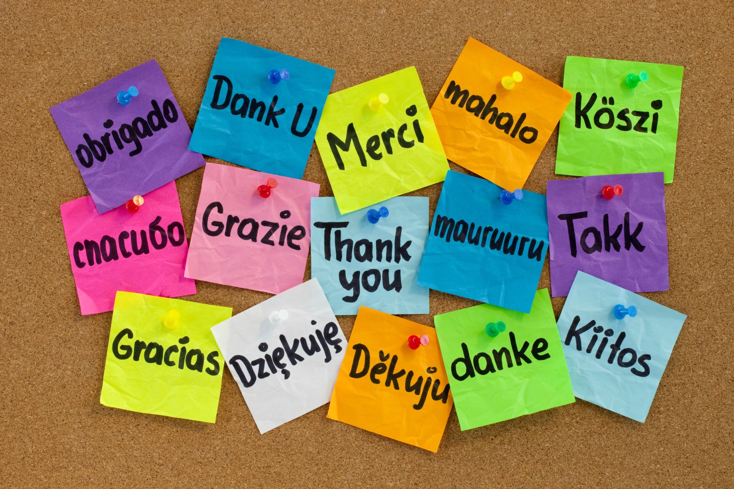 Post it notes on a cork board reading 'thank you' in different languages - learning a language is one option to try in my virtual travel guide