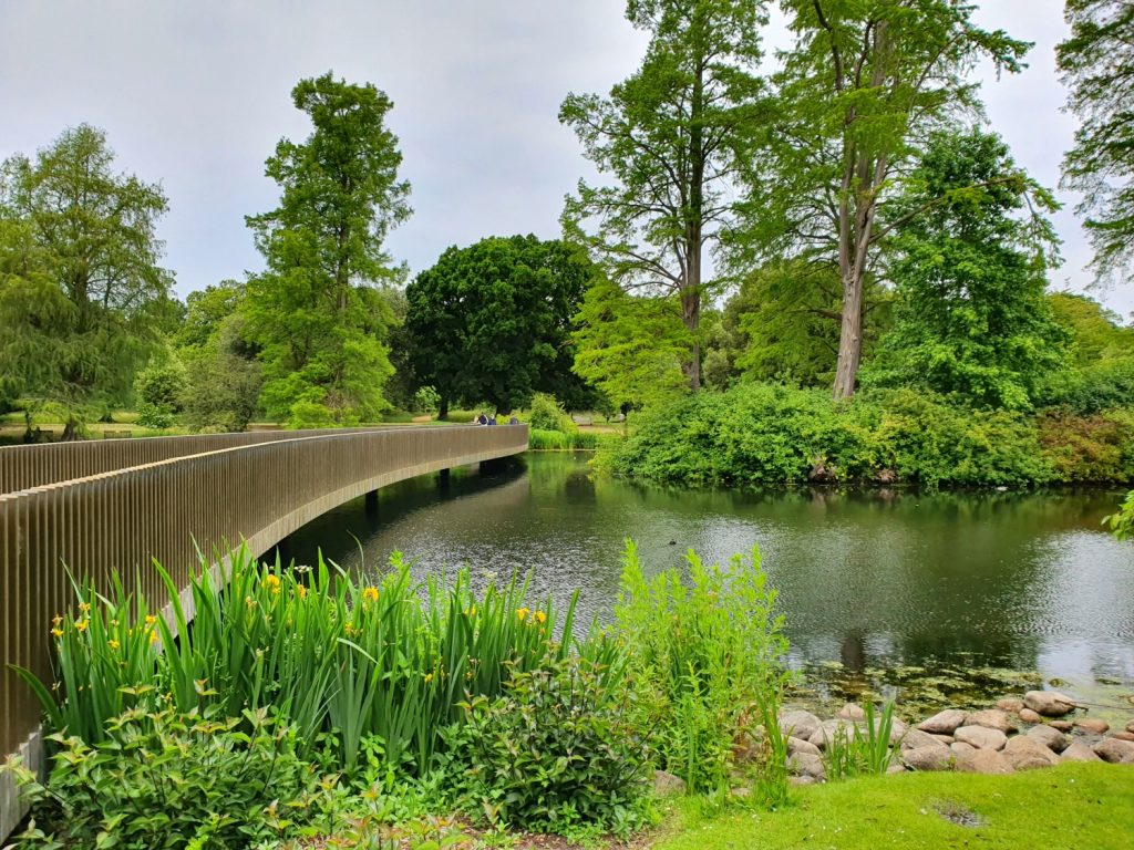 The Sackler Crossing bridge over the lake at Kew Gardens after reopening post-lockdown