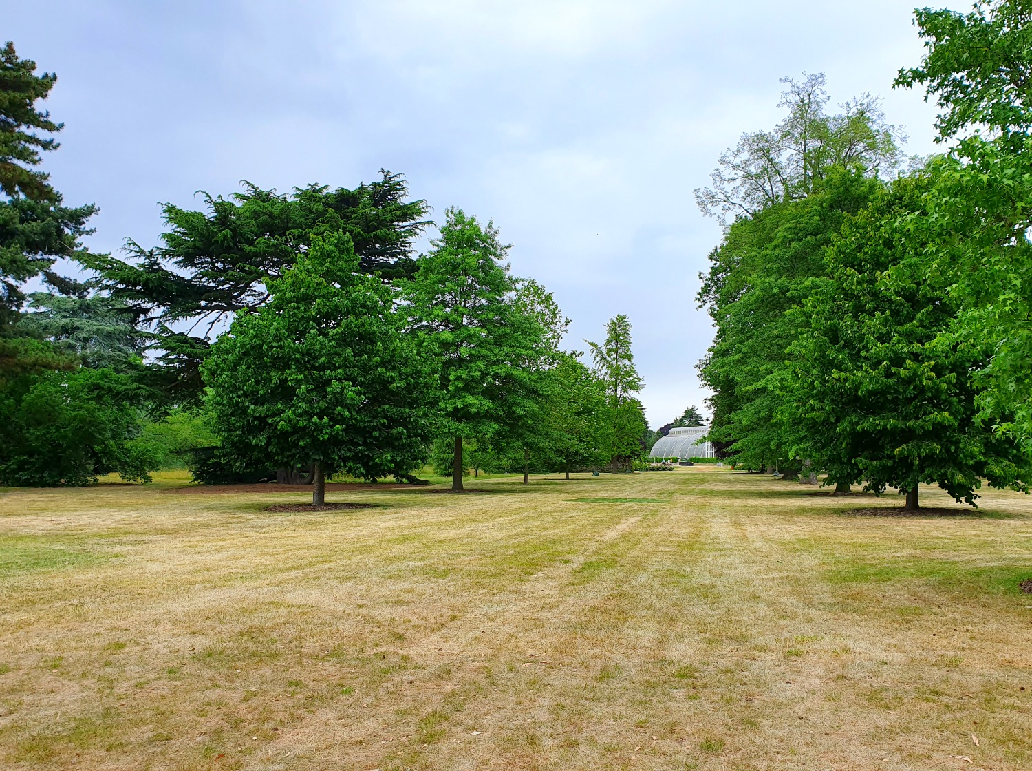 View of an empty Kew Gardens with one of the glasshouses in the background - our visit to Kew after lockdown