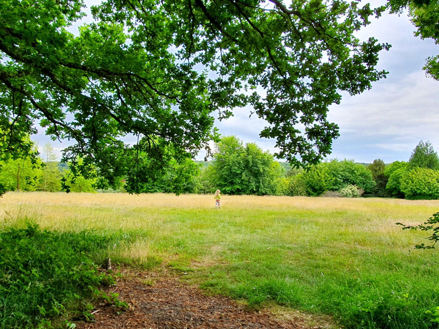 My daughter enjoying the space of the fields by the woodland at Polesden Lacey National Trust during our visit after lockdown
