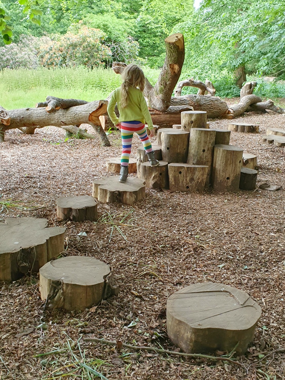 My daughter steps from tree trunk to tree trunk by the woodland path at Polesden Lacey - checking out the National Trust reopened site in Surrey, UK