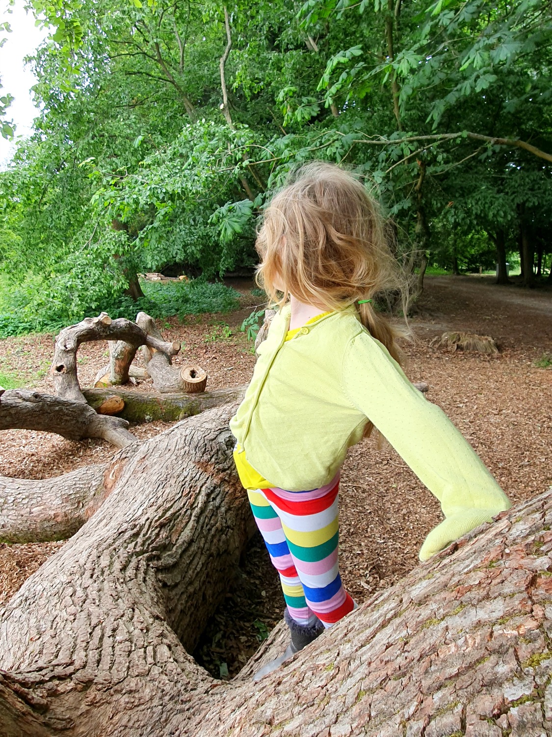 My daughter sits on one of the huge logs to play on by the woodland path at Polesden Lacey - checking out the National Trust reopened site in Surrey, UK