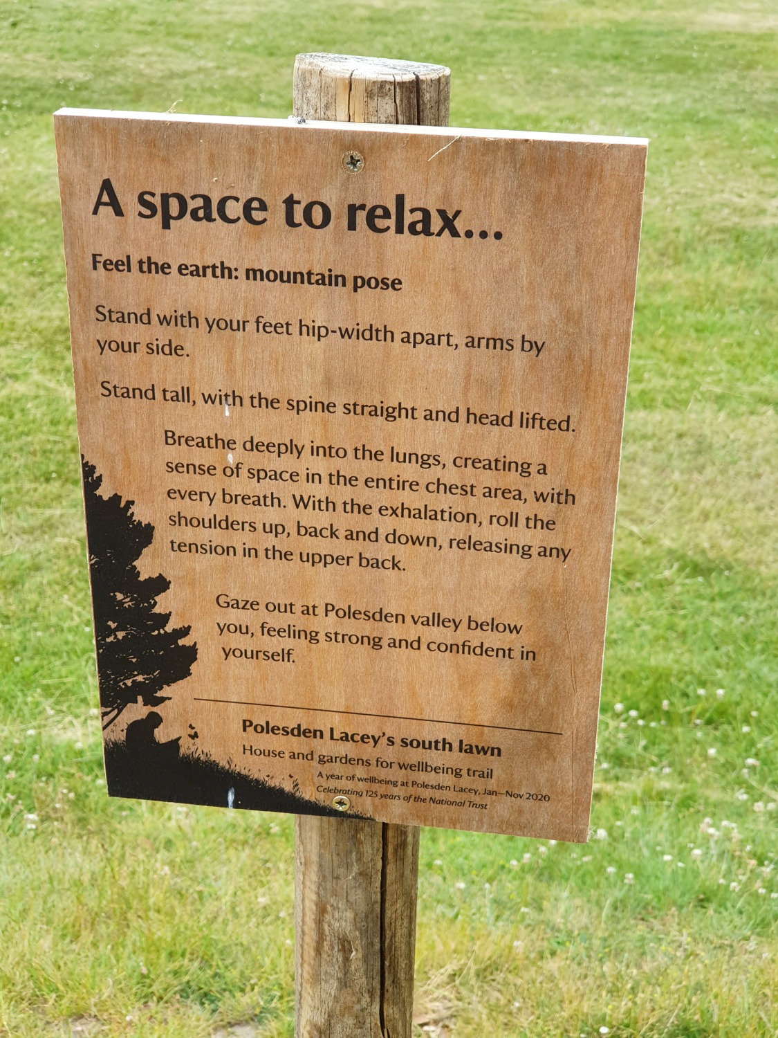 Sign on the wellbeing trail with a suggested pose to stand and relax, looking out over the lawns at Polesden Lacey after lockdown