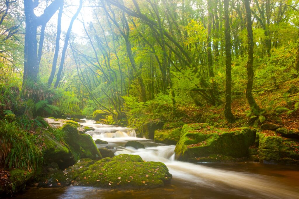 Ultimate guide to Cornwall with kids - MUMMYTRAVELS