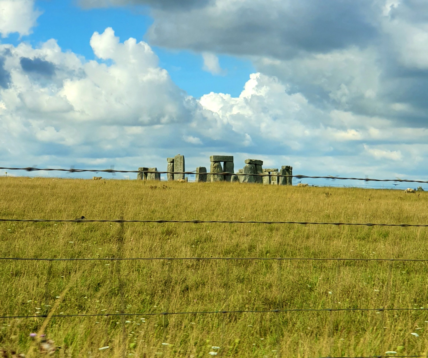 A view from the A303 towards Stonehenge, seen through a wire fence