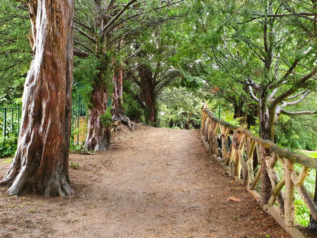 Woodland walk in the grounds at Audley End near Saffron Walden, one of the best places to visit during a weekend in Essex with kids