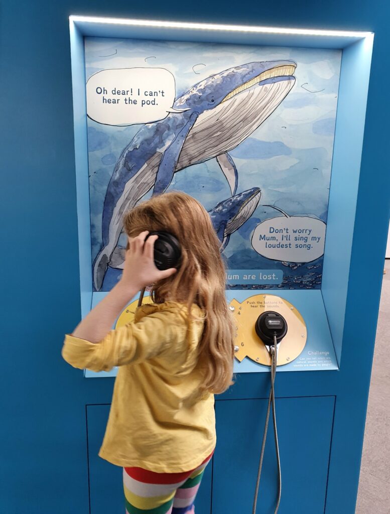 My daughter listens through a pair of earphones as part of a display on humpback whales and sonar at the Winchester Science Centre