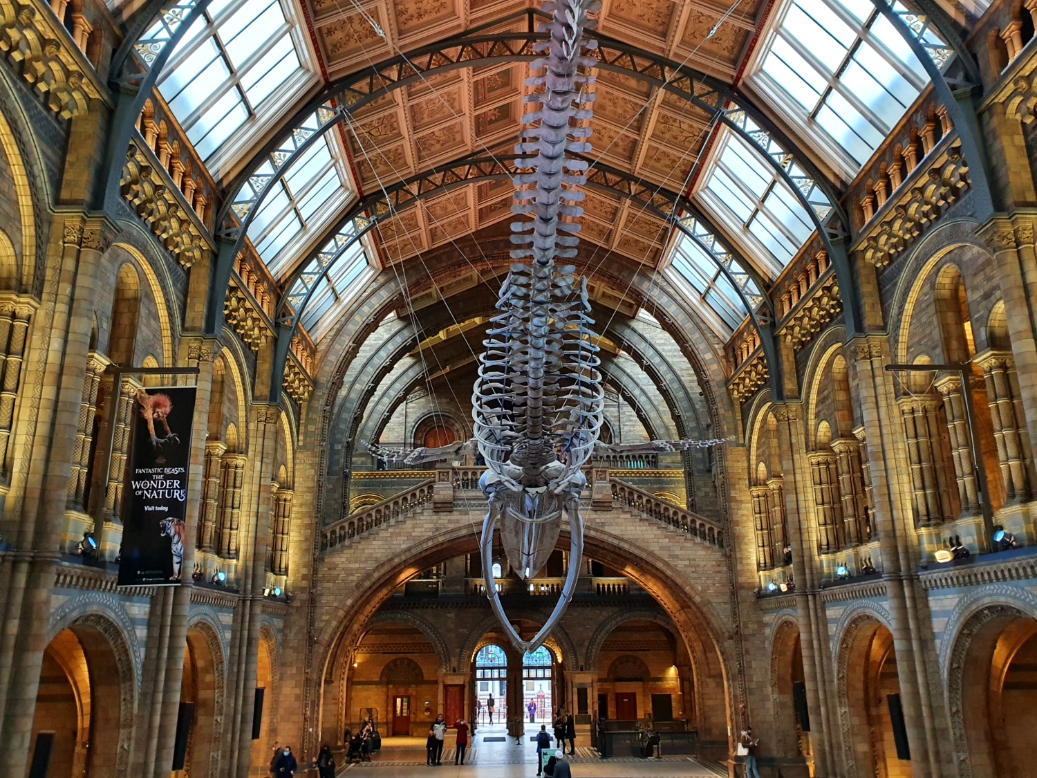 View of the whale skeleton hanging in the Hintze Hall of the Natural History Museum in London - one of our 2020 family travel days out