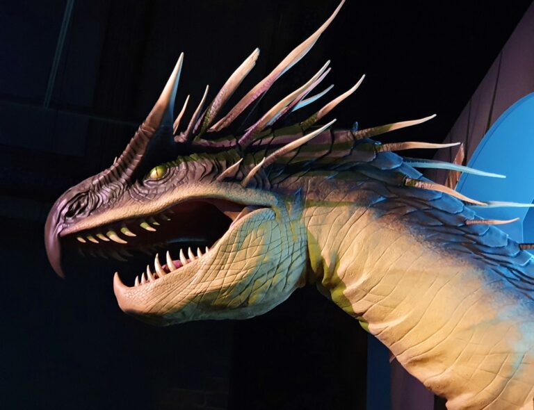 A dragon head prop on the wall at the Fantastic Beasts exhibition in the Natural History Museum, London